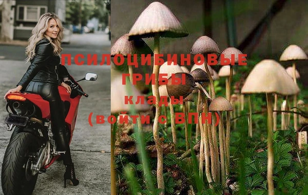 Альфа ПВП Нефтекумск