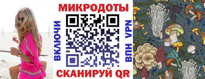 где купить наркоту  Балашиха  Псилоцибиновые грибы GOLDEN TEACHER 