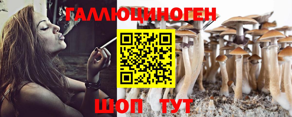 Псилоцибиновые грибы MAGIC MUSHROOMS Балашиха